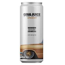 gin and juice 355ml can apricot
