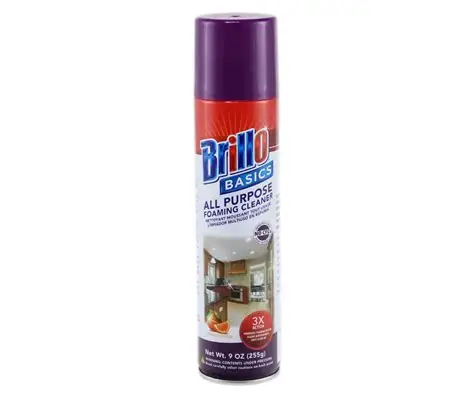 BRILLO BASICS ALL PURPOSE FOAMING CLEANER 9oz