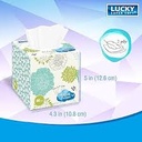 LUCKY SUPER SOFT FACIAL TISSUES CUBE BOX 80’s