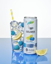 CELSIUS FIZZ FREE BLUE RAZZ LEMONADE CAN 12 oz